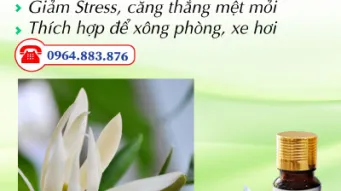 Tinh dầu là gì? Các loại tinh dầu? Phương pháp sản xuất tinh dầu? Công dụng của tinh dầu